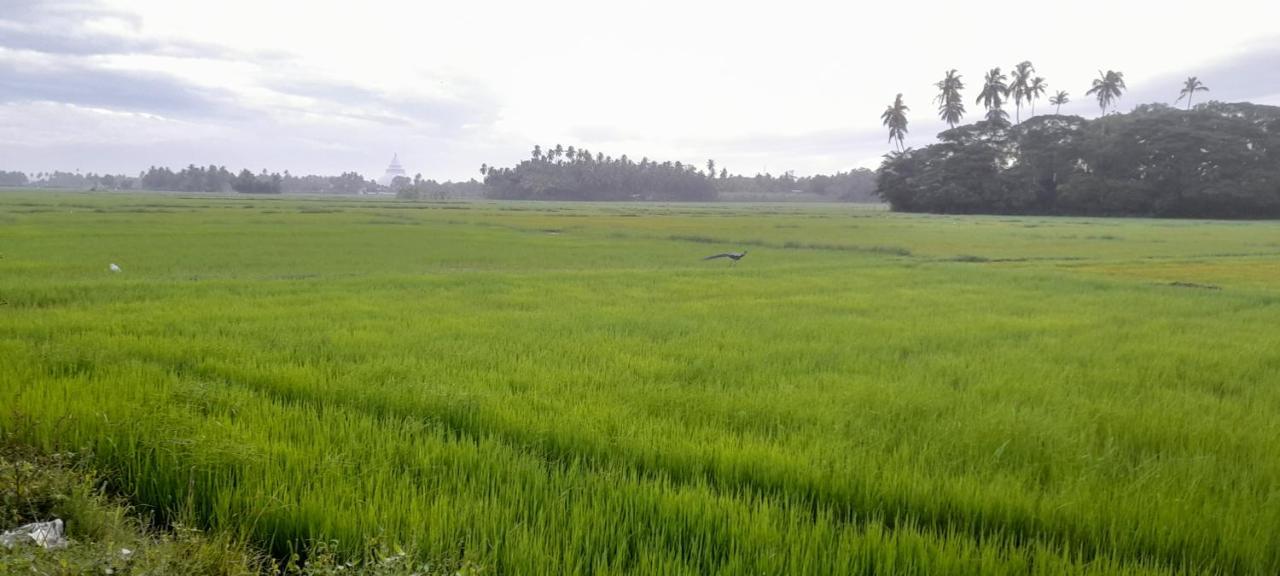 Traveller'S Home Hotel Tissamaharama Luaran gambar