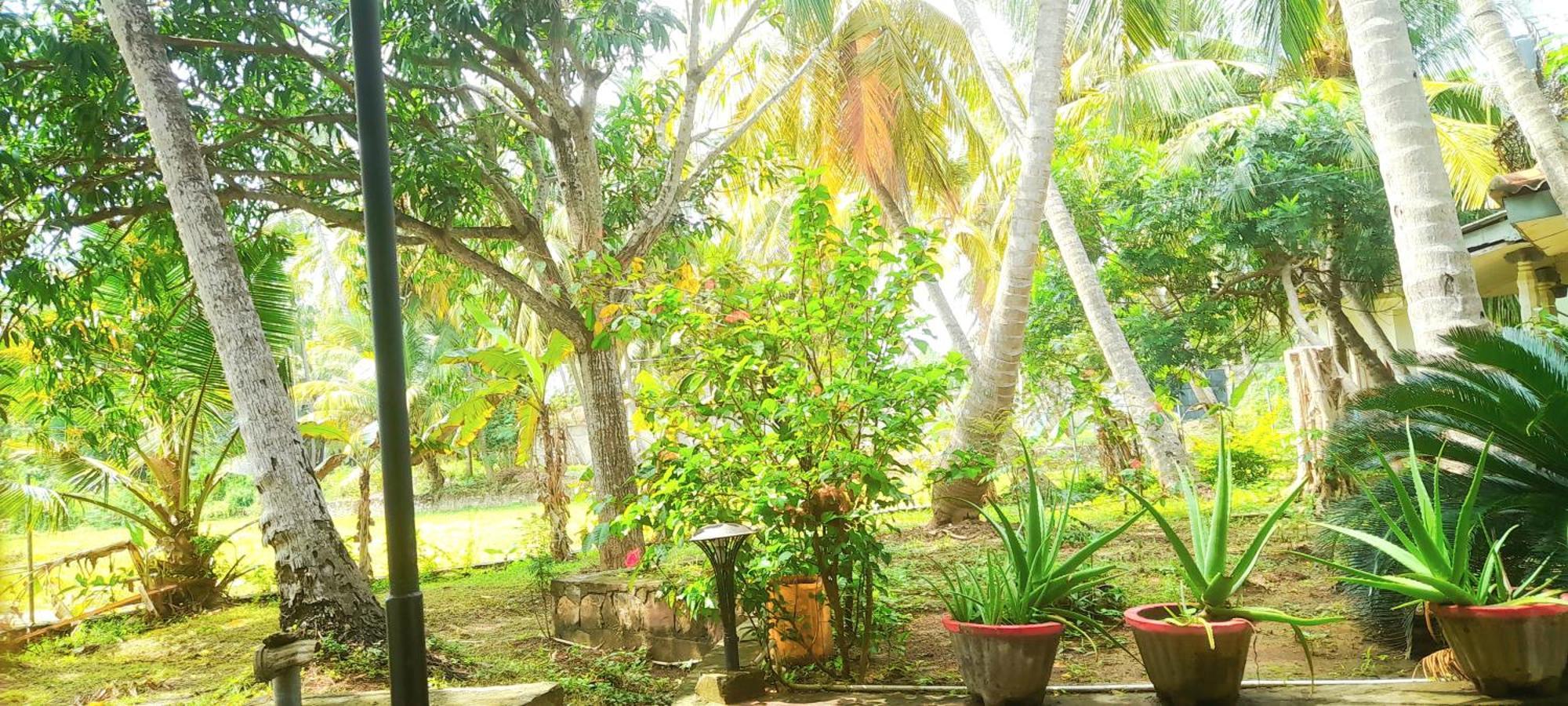 Traveller'S Home Hotel Tissamaharama Bilik gambar
