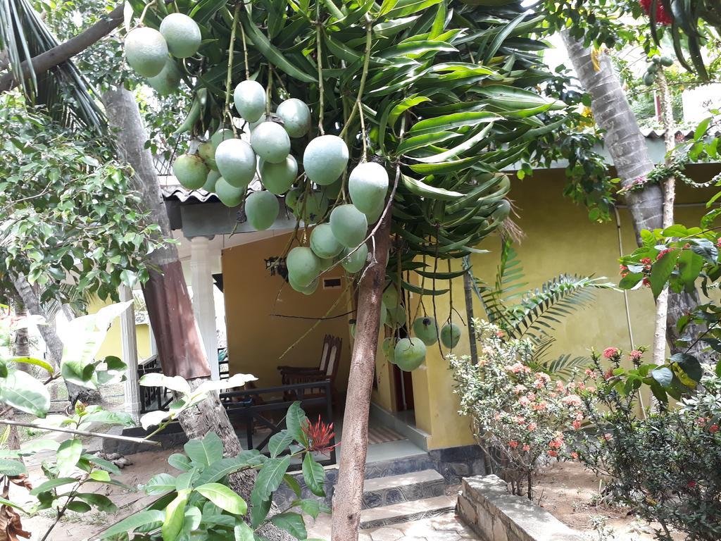 Traveller'S Home Hotel Tissamaharama Luaran gambar